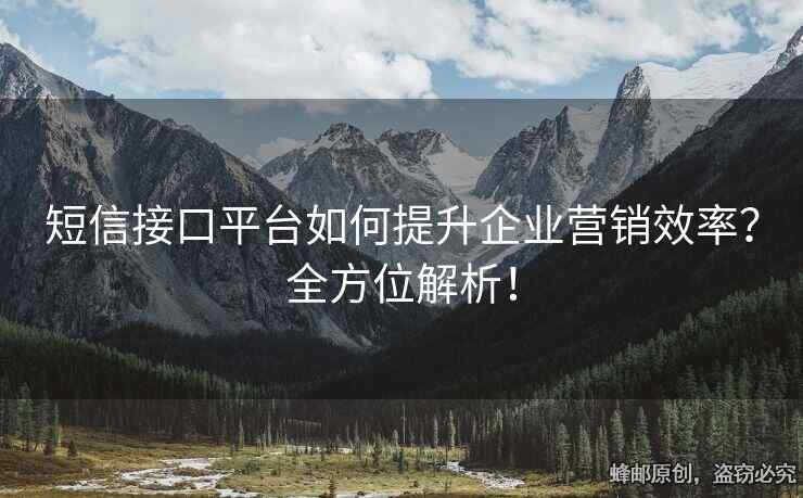 短信接口平臺(tái)如何提升企業(yè)營(yíng)銷效率？全方位解析！