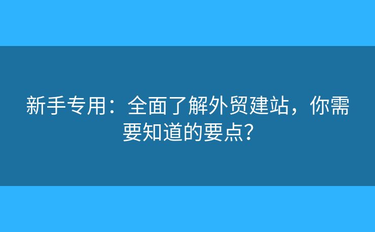 新手專用：全面了解外貿(mào)建站，你需要知道的要點(diǎn)？