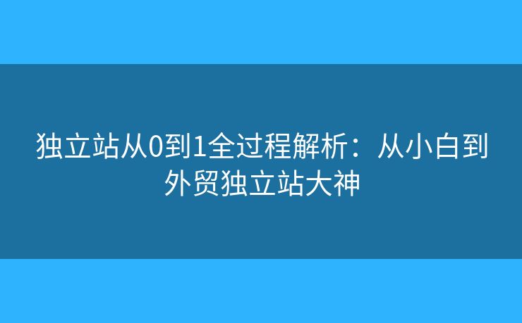 獨立站從0到1全過程解析：從小白到外貿(mào)獨立站大神
