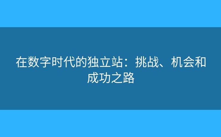 在數(shù)字時(shí)代的獨(dú)立站：挑戰(zhàn)、機(jī)會(huì)和成功之路