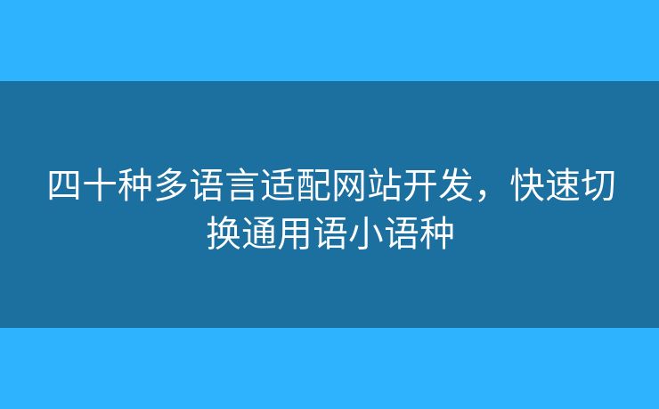 四十種多語(yǔ)言適配網(wǎng)站開(kāi)發(fā)，快速切換通用語(yǔ)小語(yǔ)種