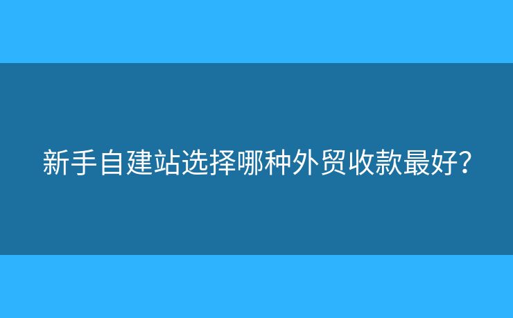 新手自建站選擇哪種外貿(mào)收款最好？