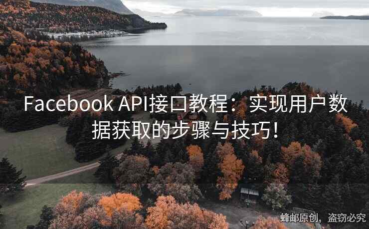 Facebook API接口教程：實現(xiàn)用戶數(shù)據(jù)獲取的步驟與技巧！