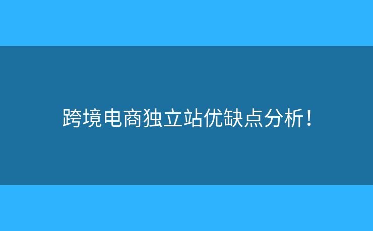 跨境電商獨(dú)立站優(yōu)缺點(diǎn)分析！
