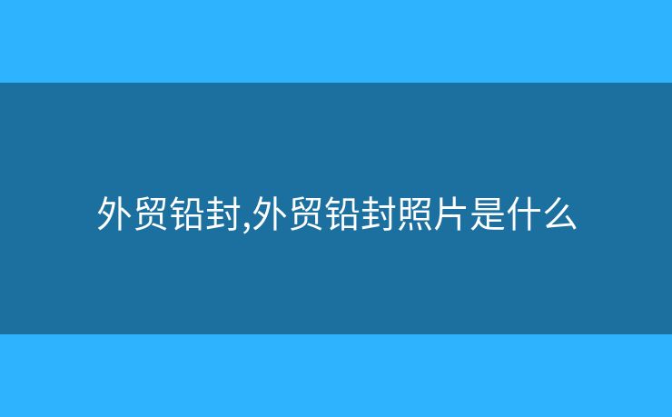 外貿(mào)鉛封,外貿(mào)鉛封照片是什么