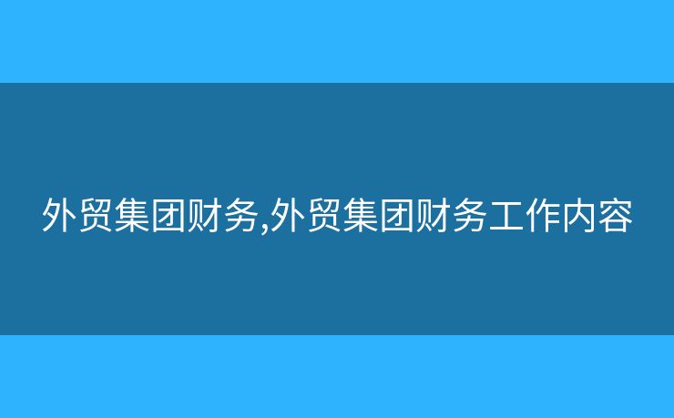 外貿(mào)集團(tuán)財(cái)務(wù),外貿(mào)集團(tuán)財(cái)務(wù)工作內(nèi)容