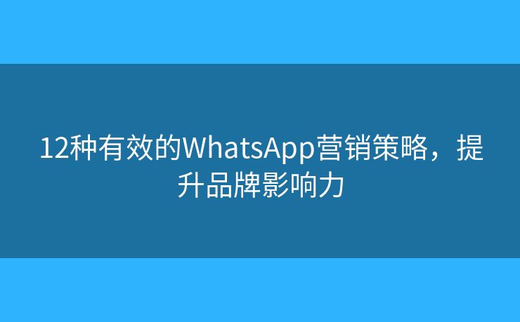 12種有效的WhatsApp營(yíng)銷(xiāo)策略，提升品牌影響力
