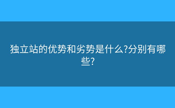 獨立站的優(yōu)勢和劣勢是什么?分別有哪些?
