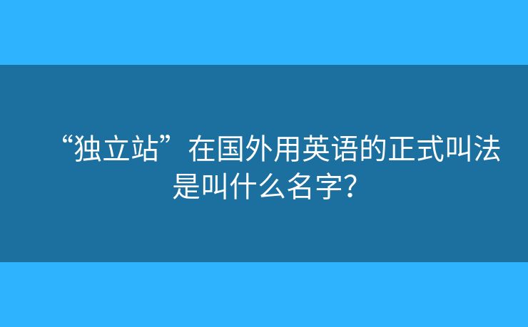 “獨立站”在國外用英語的正式叫法是叫什么名字？
