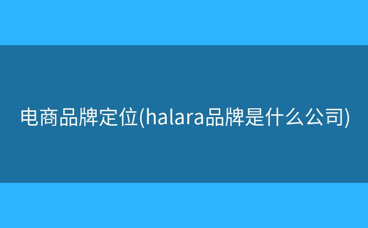 電商品牌定位(halara品牌是什么公司)?
