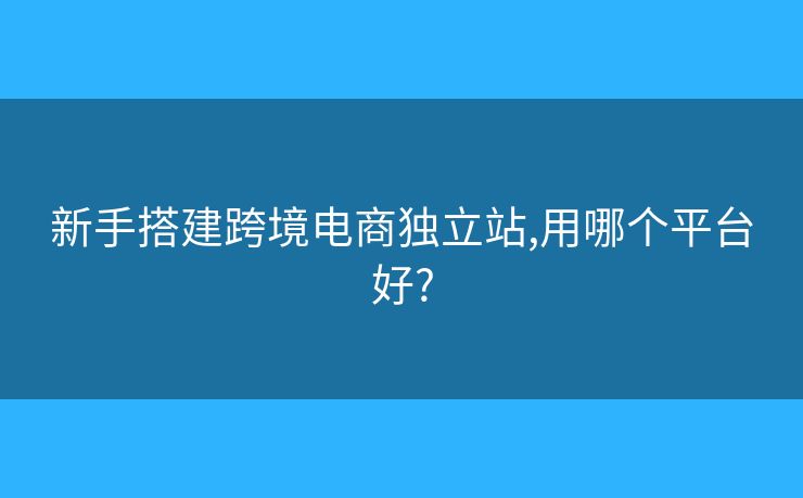 新手搭建跨境電商獨立站,用哪個平臺好?