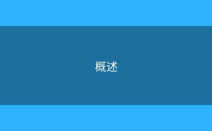 概述