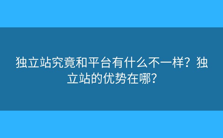 獨(dú)立站究竟和平臺(tái)有什么不一樣？獨(dú)立站的優(yōu)勢在哪？