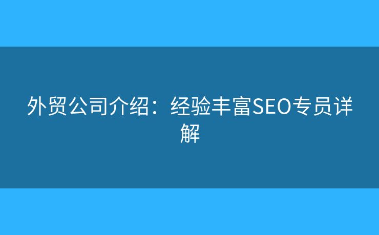外貿(mào)公司介紹：經(jīng)驗豐富SEO專員詳解
