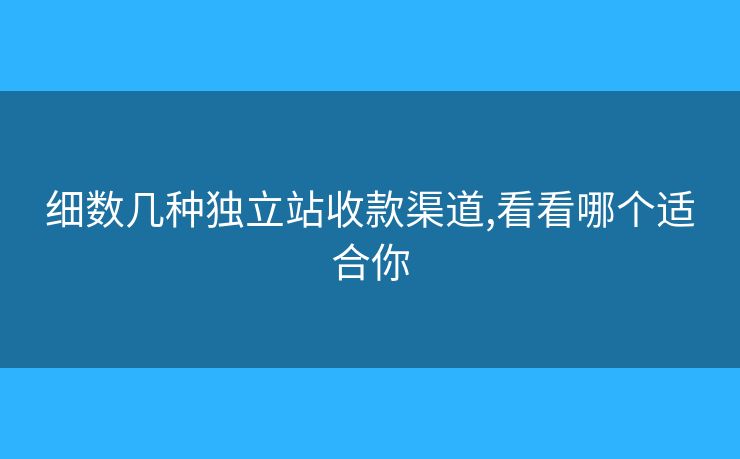 細(xì)數(shù)幾種獨(dú)立站收款渠道,看看哪個(gè)適合你