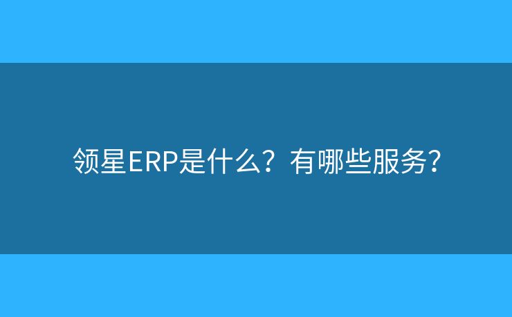 領(lǐng)星ERP是什么？有哪些服務(wù)？