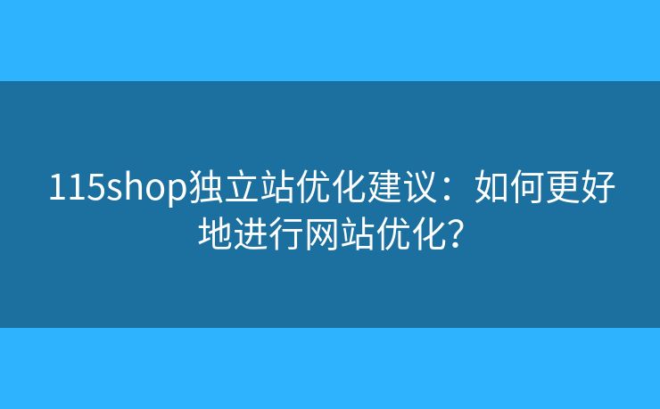 115shop獨立站優(yōu)化建議：如何更好地進行網站優(yōu)化？